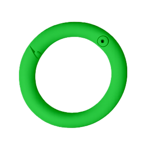 Karabiner-Ring