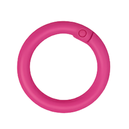 Karabiner-Ring