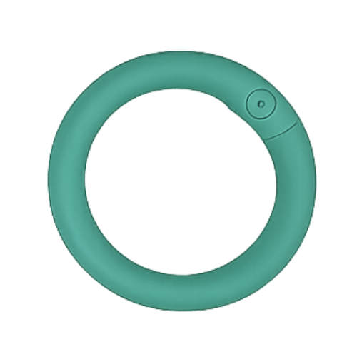 Karabiner-Ring
