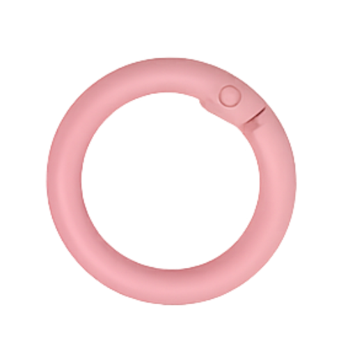 Karabiner-Ring