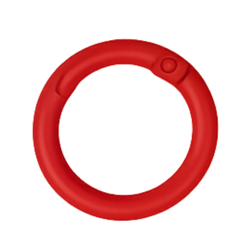 Karabiner-Ring