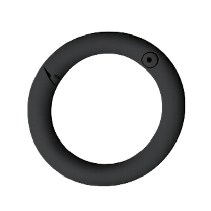 Karabiner-Ring