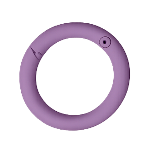 Karabiner-Ring