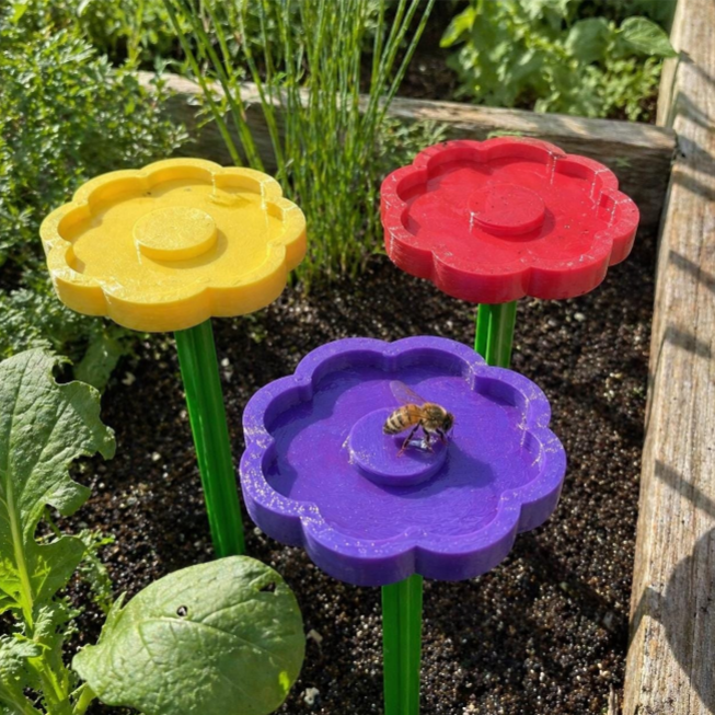Bienentränke Blume mit Stängel