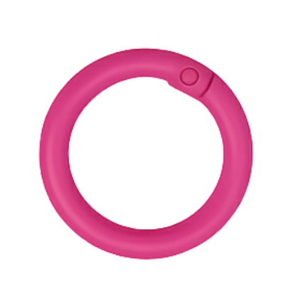 Karabiner-Ring