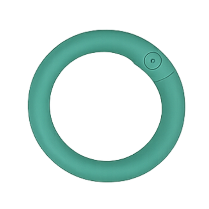 Karabiner-Ring