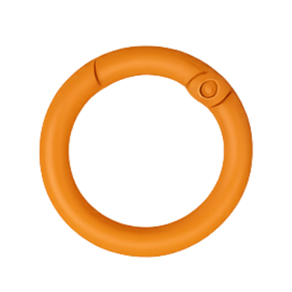 Karabiner-Ring