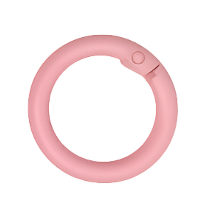 Karabiner-Ring