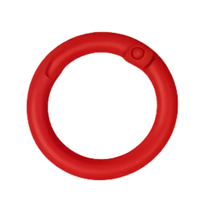 Karabiner-Ring